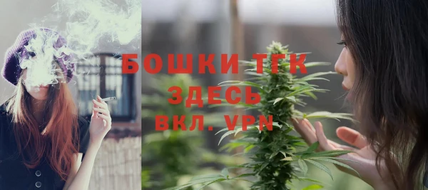 шишки Горнозаводск