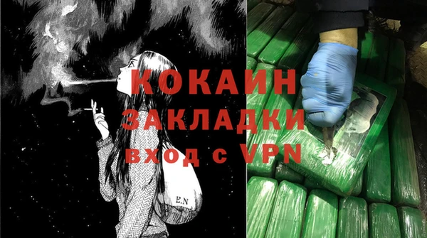 шишки Горнозаводск