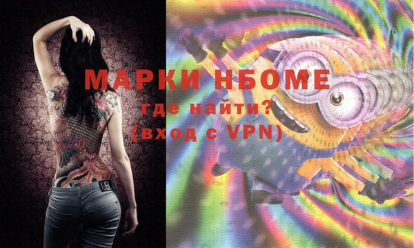 шишки Горнозаводск