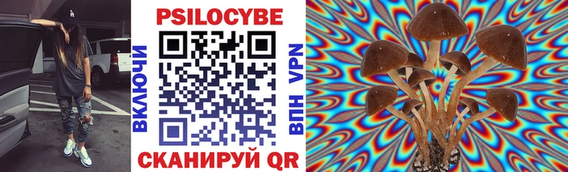 Галлюциногенные грибы Magic Shrooms  дарнет шоп  MEGA ТОР  Петровск-Забайкальский 